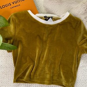 Chartreuse Velvet Crop Top